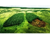 Cuidados del Medio ambiente 