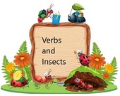 TOMi.digital - Verbs and Insects
