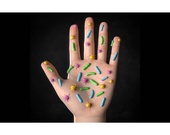 Biologia grado sexto. Los tres dominios