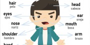 Partes del Cuerpo en Inglés