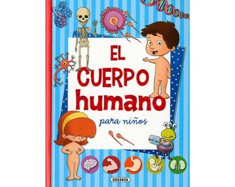 EL CUERPO HUMANO