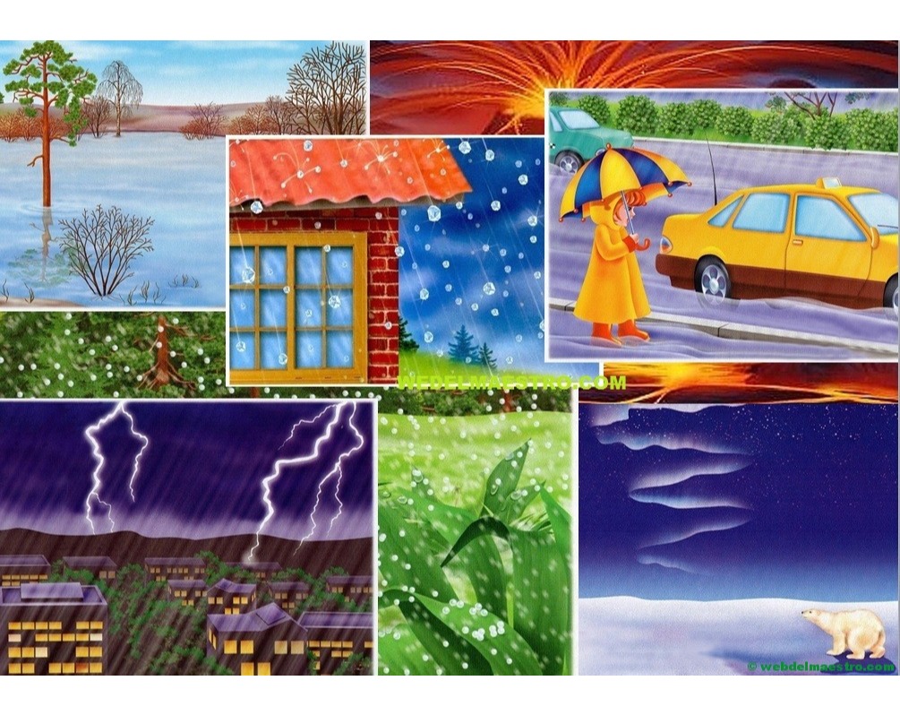 Ciencias Naturales Segundo básico