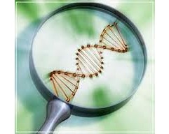 Biotecnología. Mejoramiento