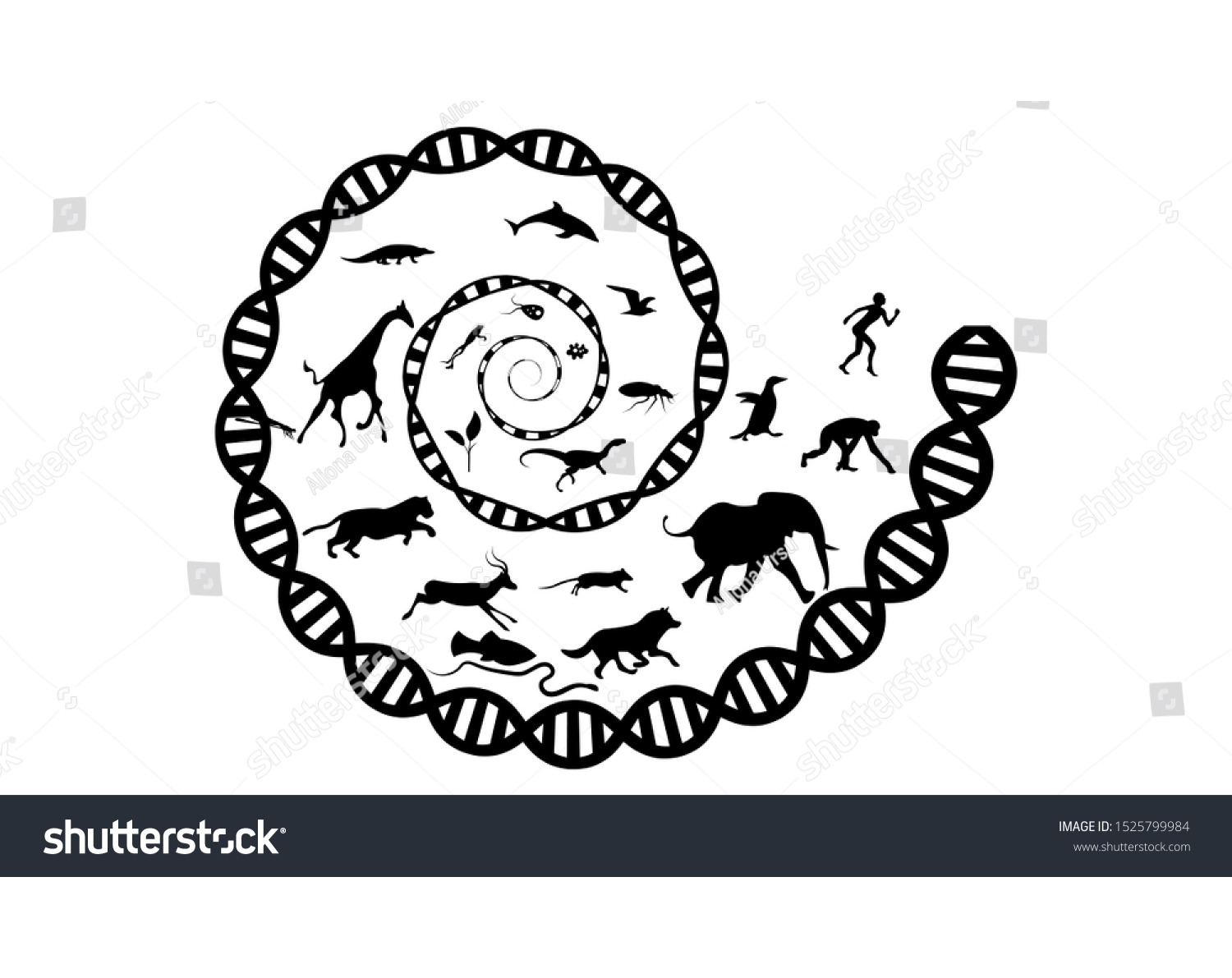 Mecanismos de evolución