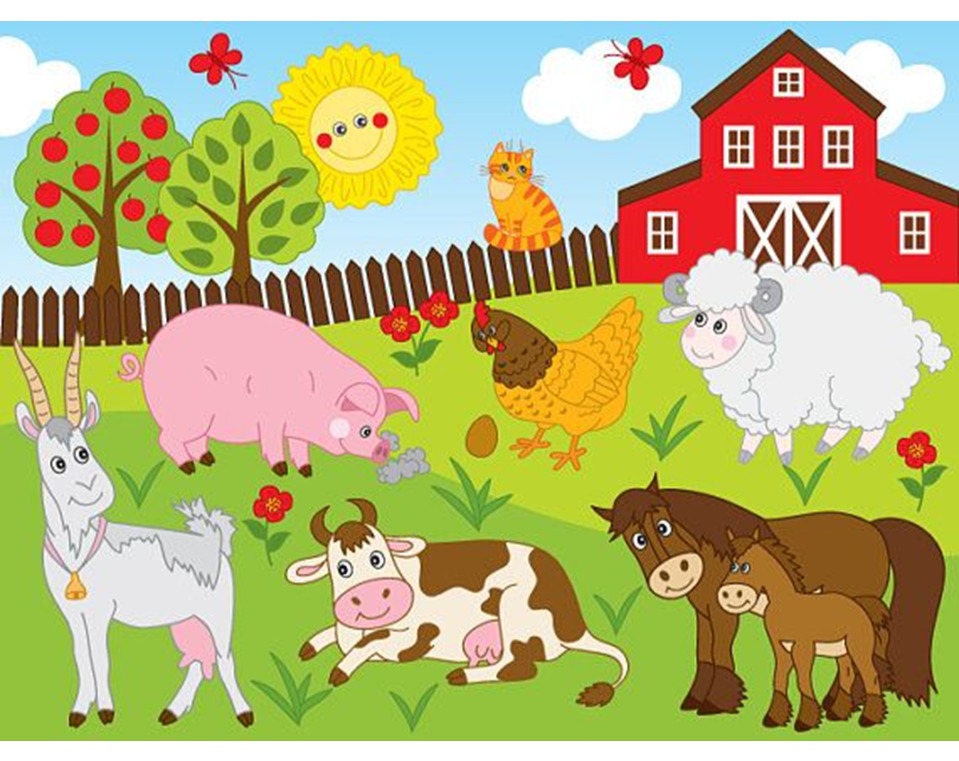 EVALUACIÓN FINAL DE INGLES