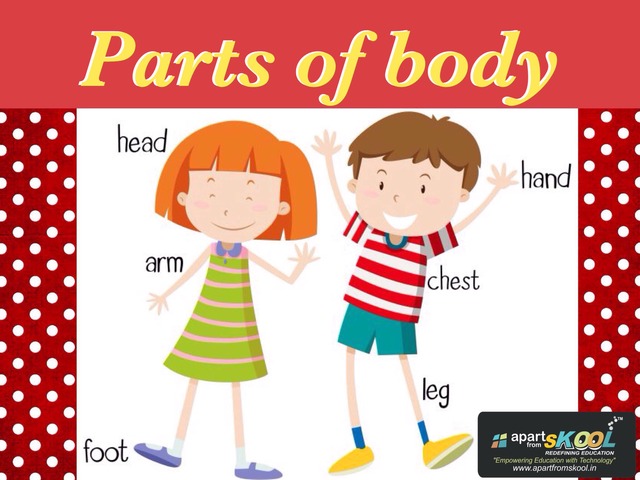 TOMi.digital - BODY PARTS