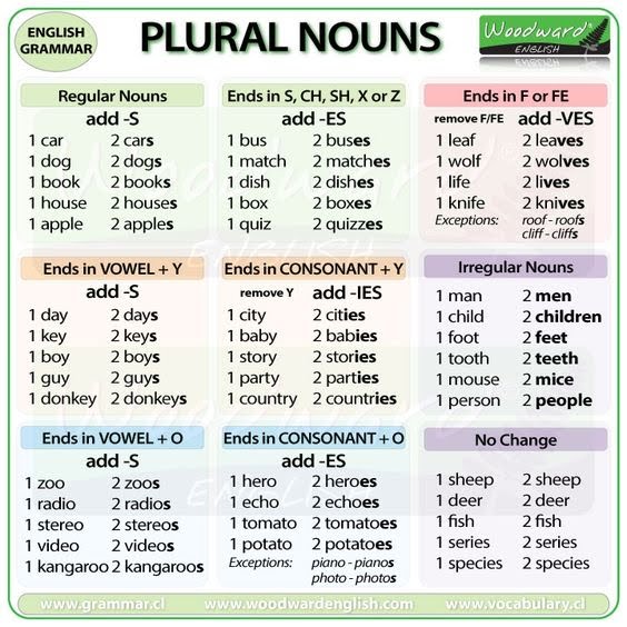 TOMi digital Plural Nouns