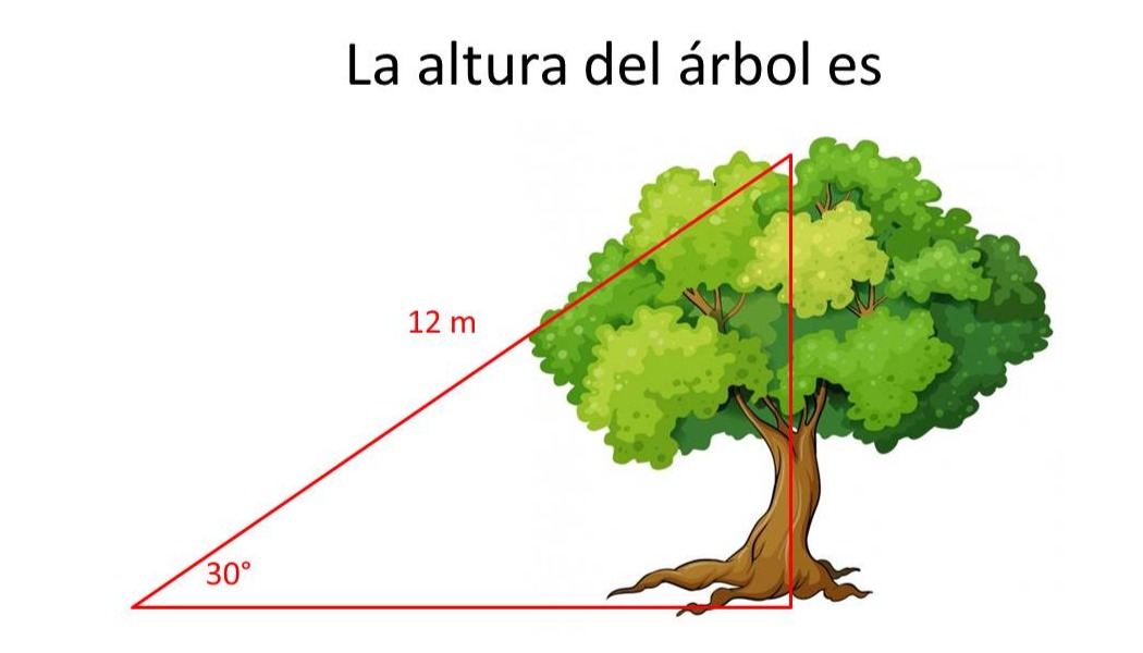 TOMi.digital - Trigonometría