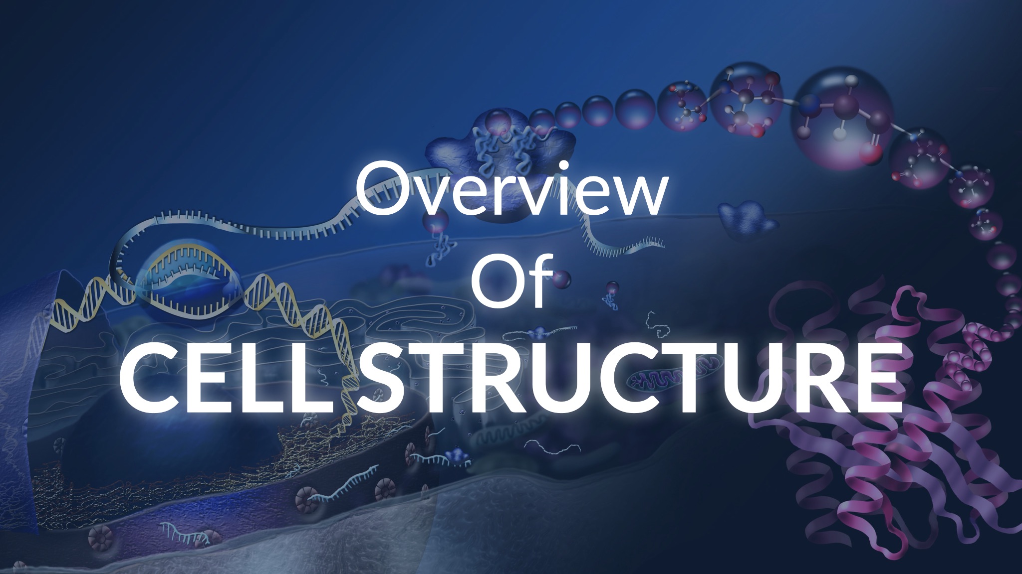 tomi-digital-overview-of-cell-structure-lesson