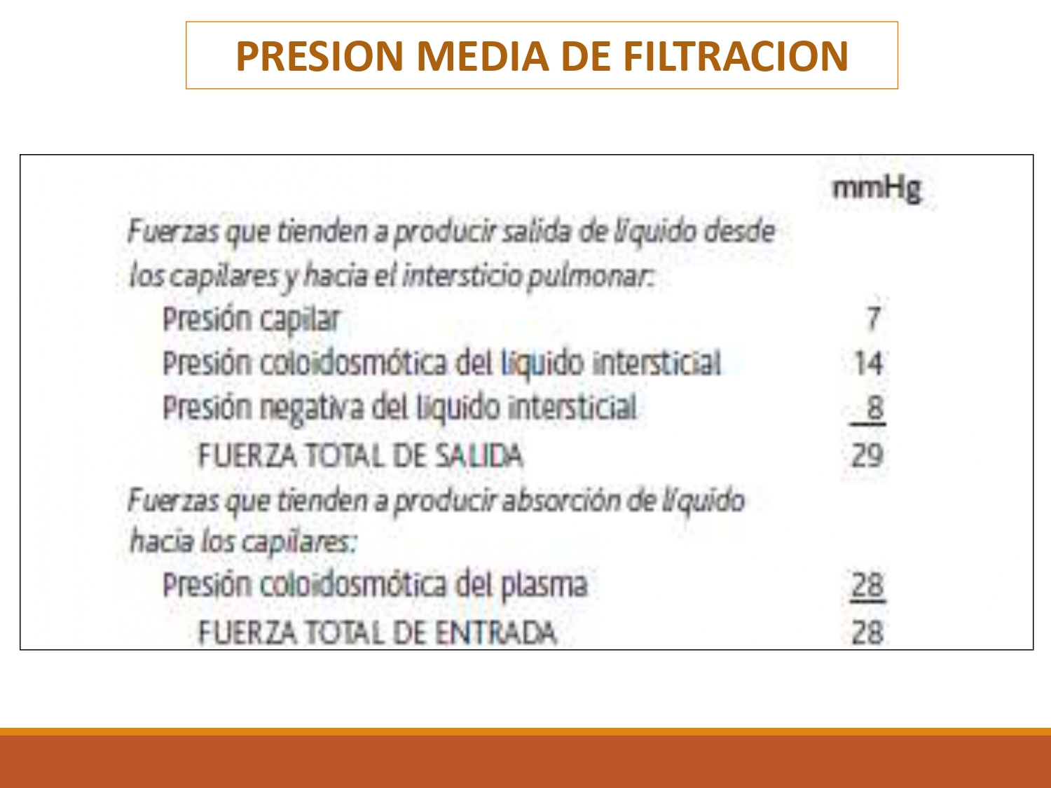 TOMi.digital - Circulación Pulmonar, Fisiología, Liceo Canadiense R.