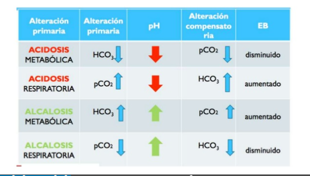 TOMi.digital - química II / la acidosis y la alcalosis