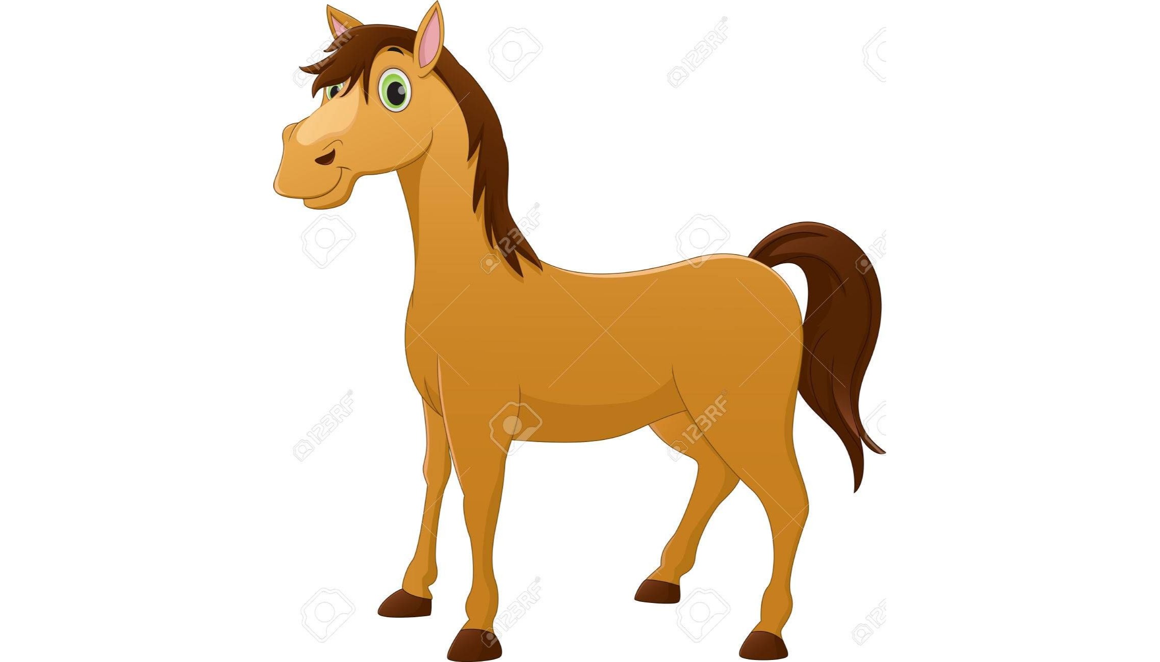 TOMi digital Colors Animals Numbers grey-color-charts-to-leave-a-comment-for-the-author-please-follow