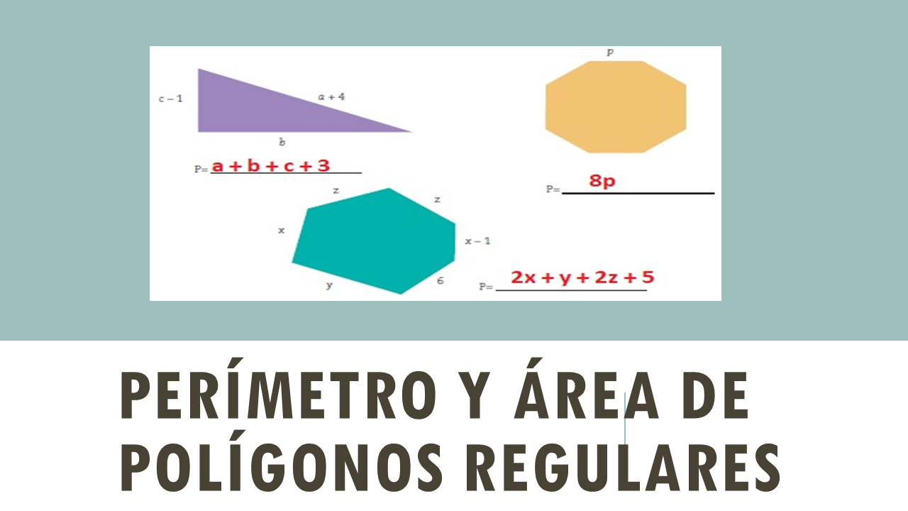 TOMi.digital - Perímetro y área de polígonos regulares