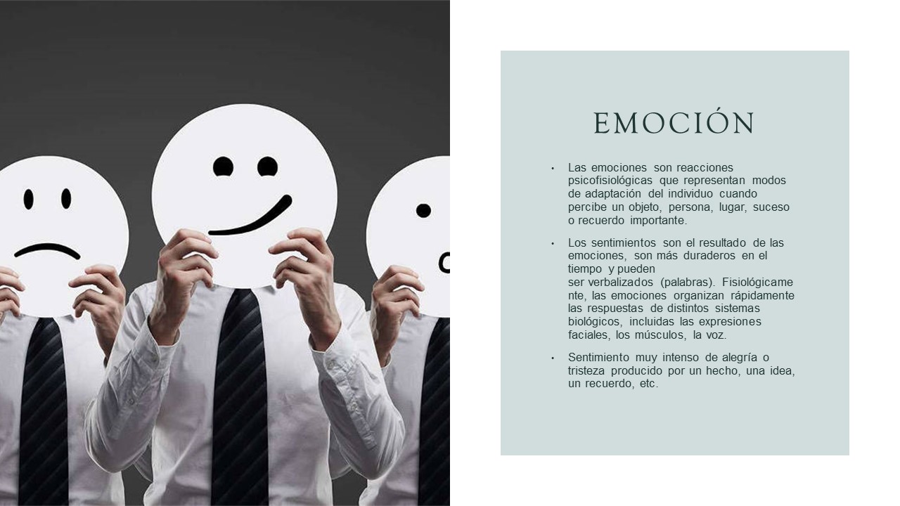 Tecnicas Radiales Tomi Digital