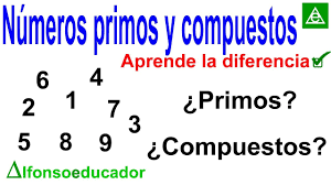Números Primos Y Compuestos Grado 6 Matemáticas Tomi Digital