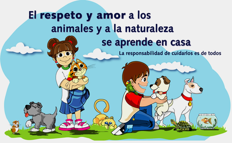 TOMi.digital - Los Animales Vertebrados 4to "A", "B" y "C"