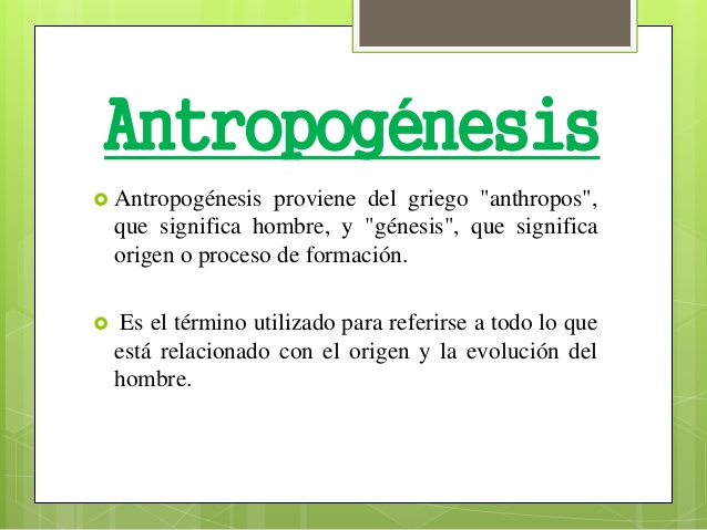 Antropogenesis Origen Del Hombre Historia Universal