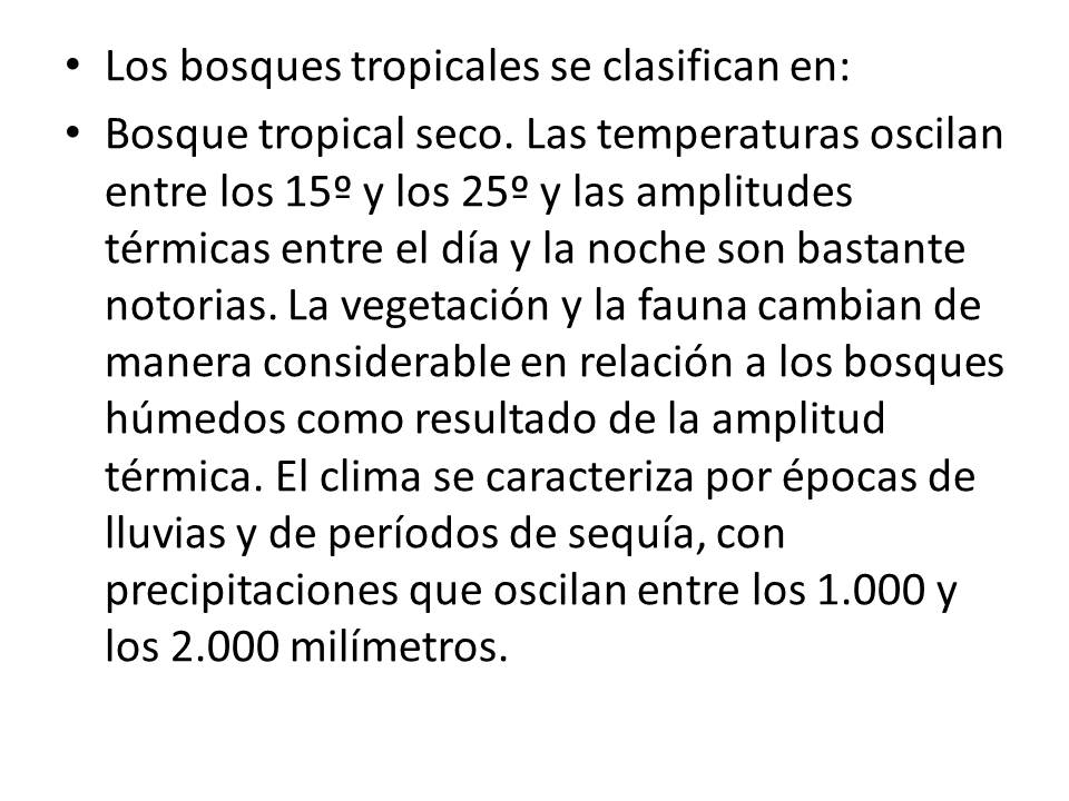 TOMi.digital ECOSISTEMA BOSQUE TROPICAL