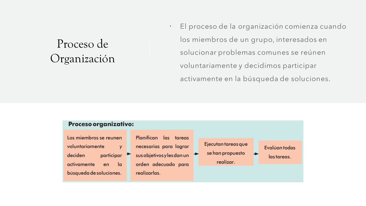 Tomi digital organizaci n comunitaria