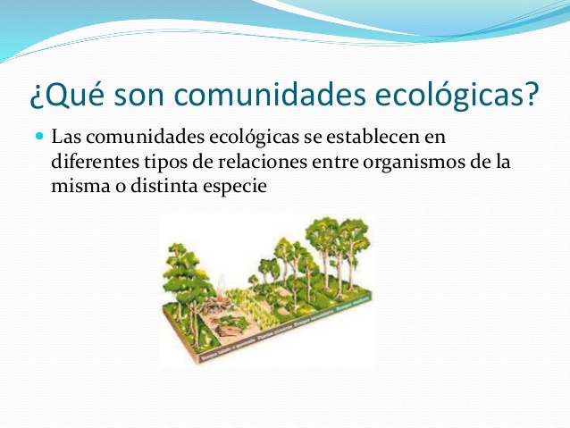 Qué Es Una Comunidad En Ecología