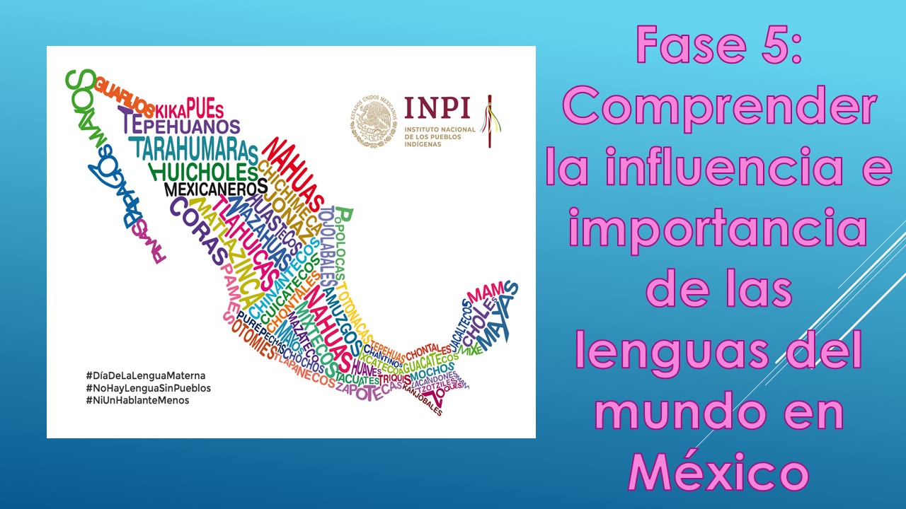 TOMi.digital - Fase 5: comprender la influencia e importancia de las lengua