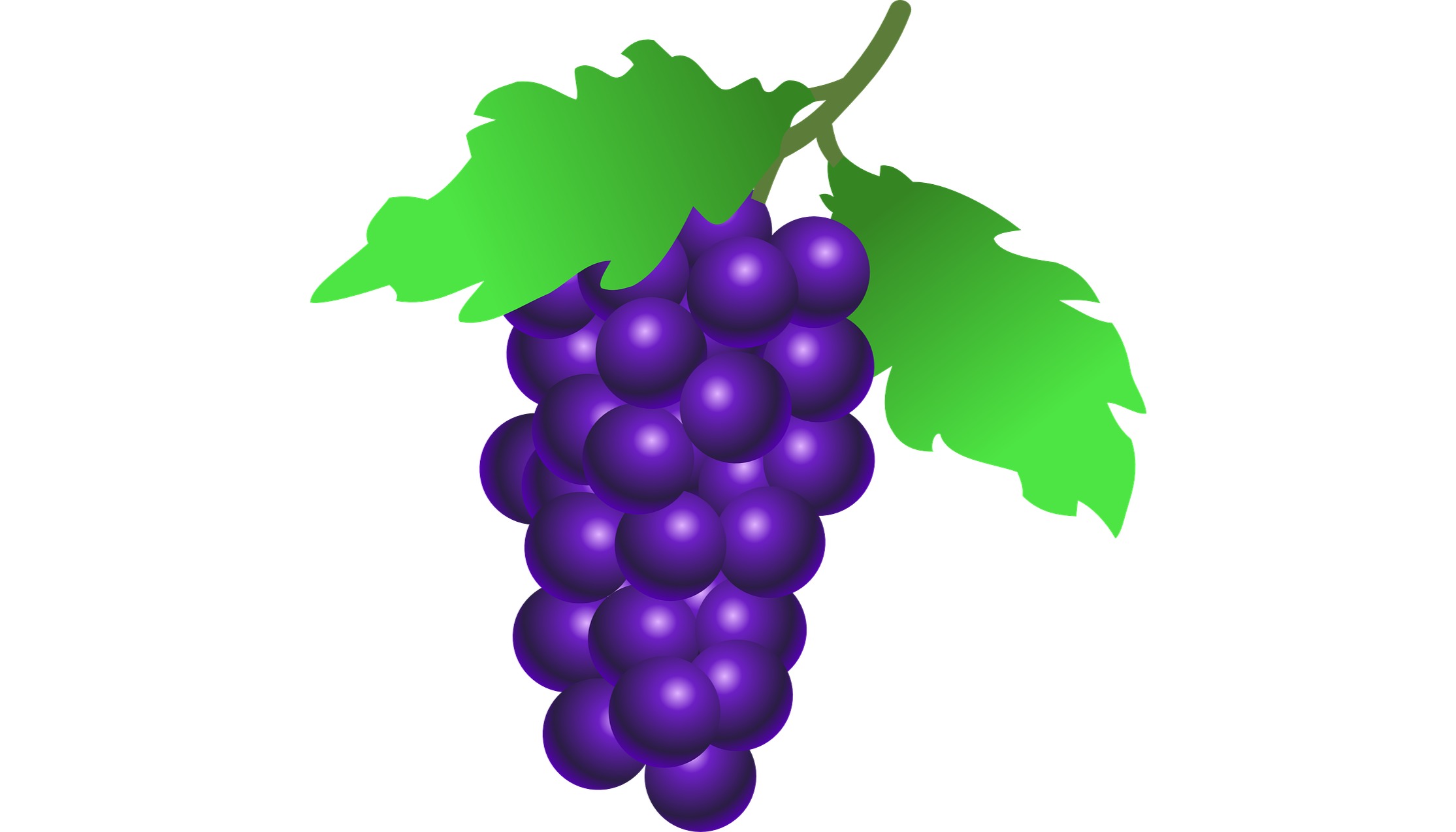 TOMi.digital FRUTAS Y VERDURAS